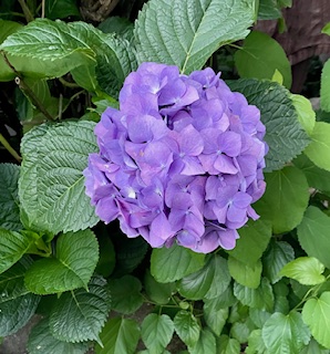 IMG_1789.jpg