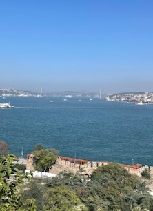 IMG_8527.jpg