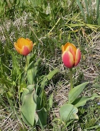 IMG_9392.jpg