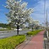IMG_5870.jpg