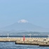 IMG_5931.jpg