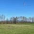 IMG_9322.JPG