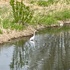IMG_9396.jpg