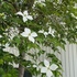 IMG_1697.jpg