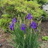 IMG_3165.jpg