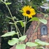 IMG_1754.jpg