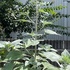 IMG_1957.jpg