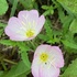 IMG_1826.jpg
